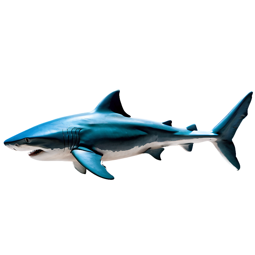 Shark With Sunglasses Png Uce PNG Image