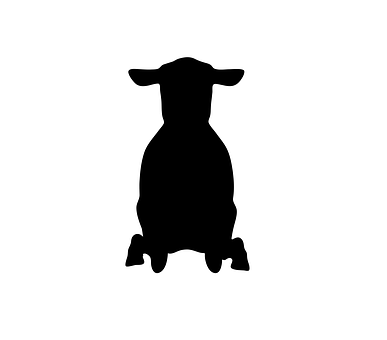 Sheep Silhouette Graphic PNG Image