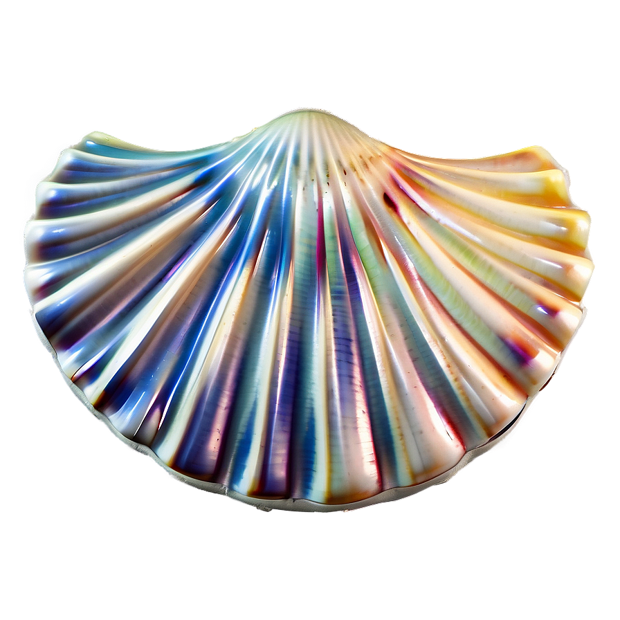 Shell In Ocean Breeze Png Rob34 PNG Image