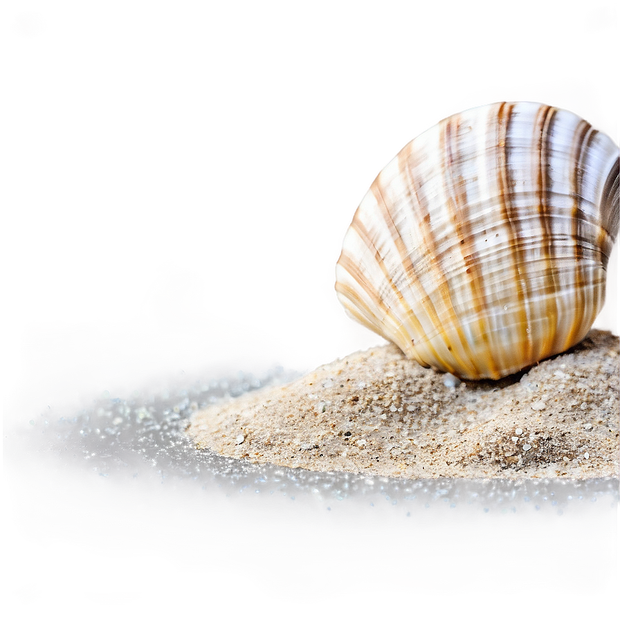 Shell In Sand Png Nwy18 PNG Image