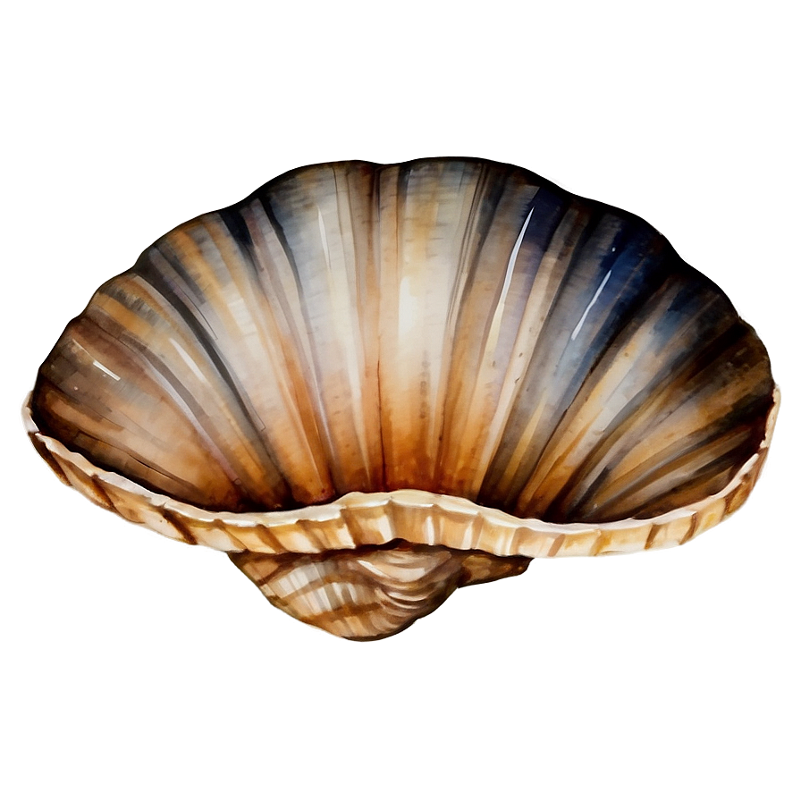 Shell Watercolor Png Mvv PNG Image