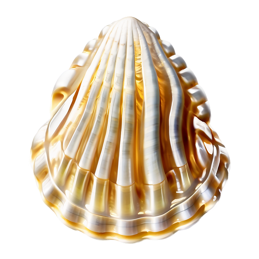 Shell With Waves Png 05212024 PNG Image