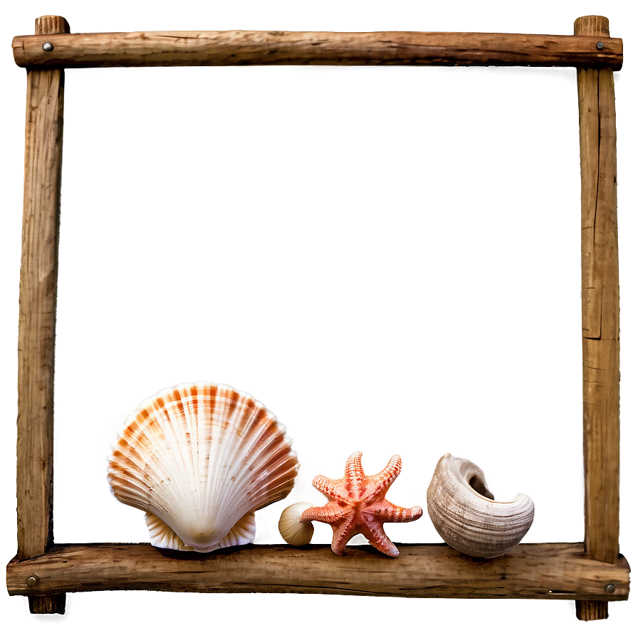 Shells With Driftwood Png 06212024 PNG Image