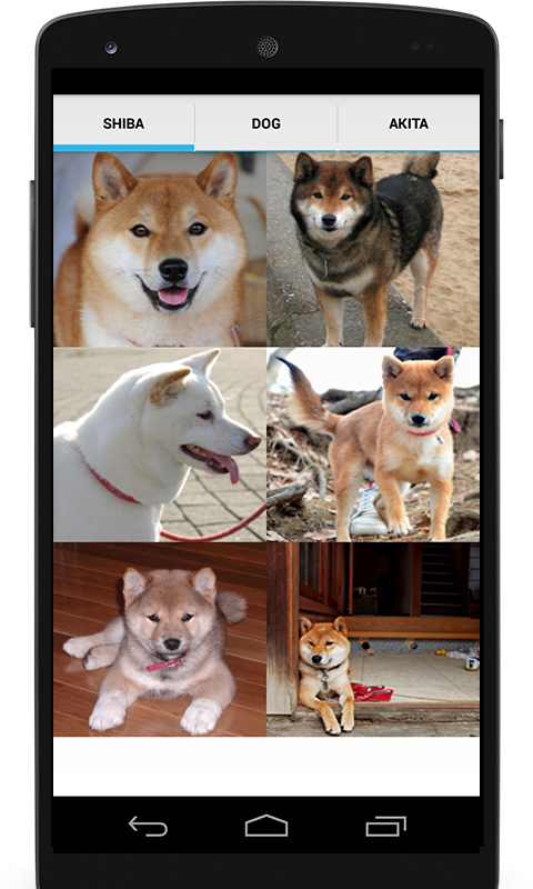 Shiba Inu Dog Breeds Mobile App PNG Image