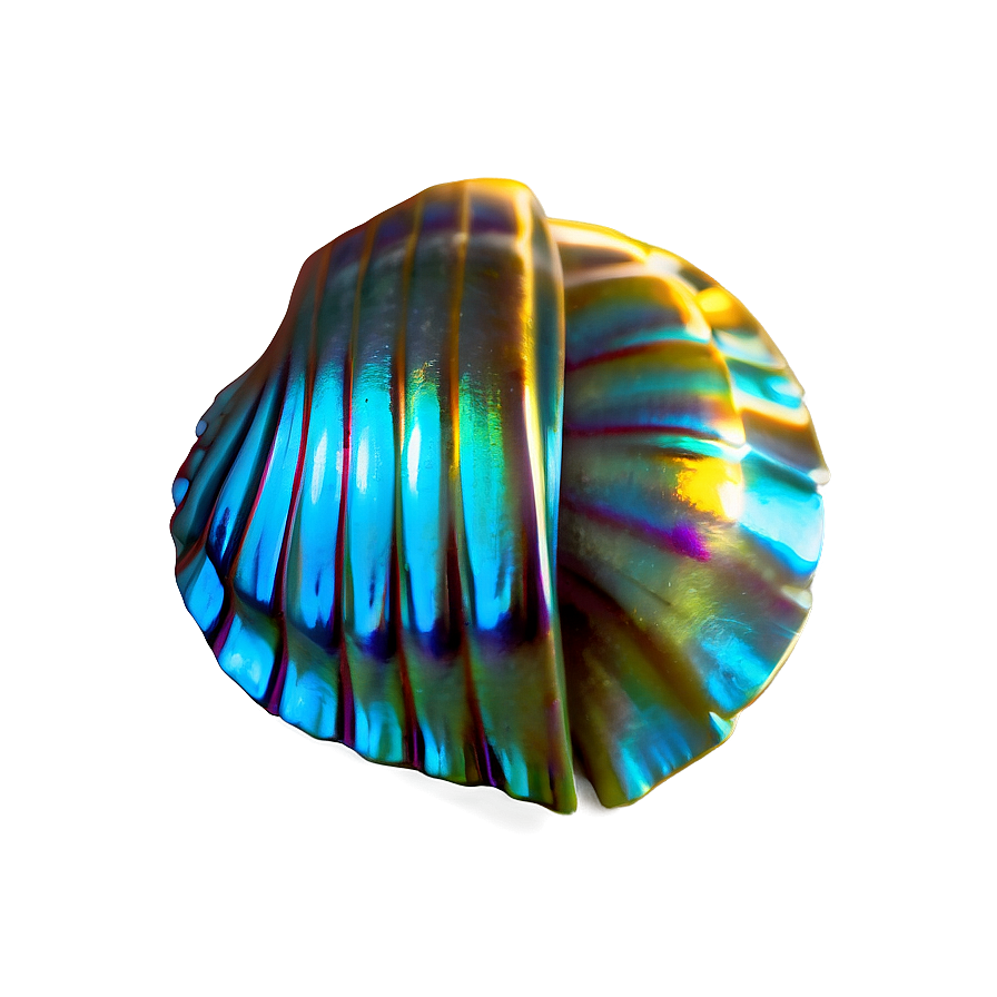 Shimmering Shell Graphic Png 05212024 PNG Image