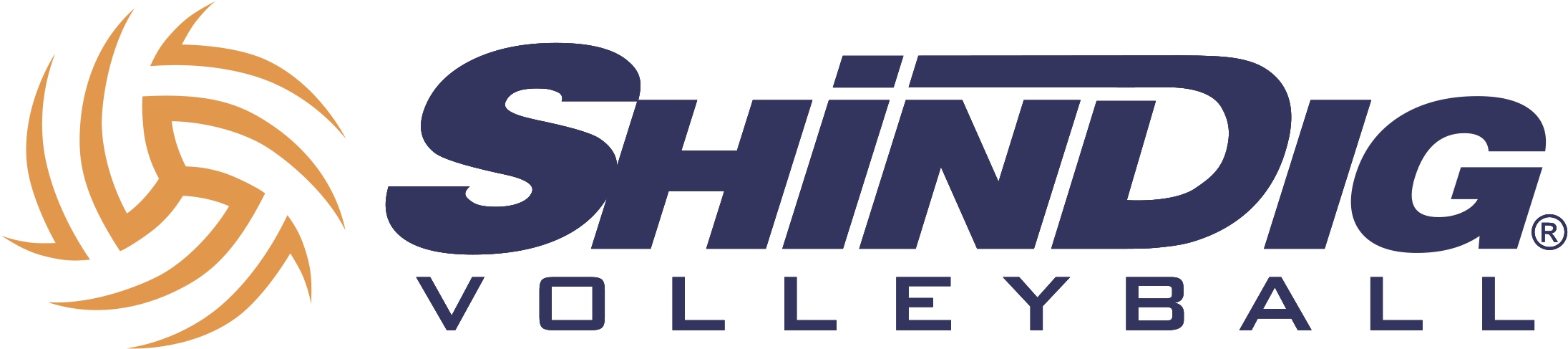 Shindig Volleyball Logo PNG Image