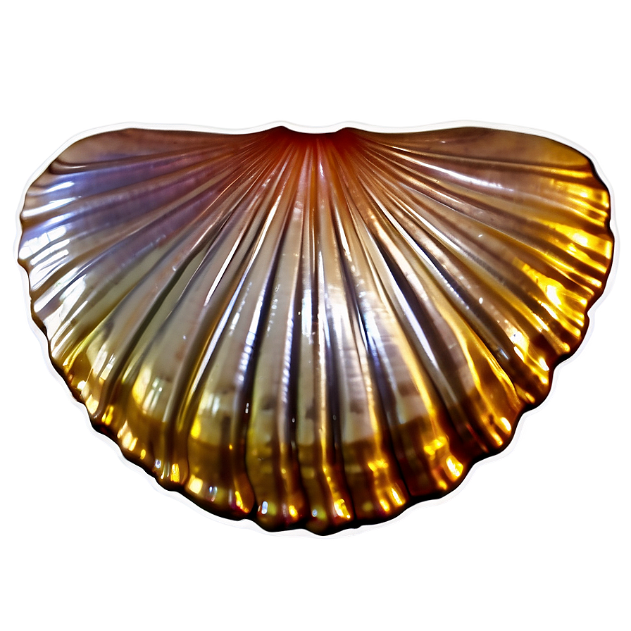 Shiny Clam Shell Png 06292024 PNG Image