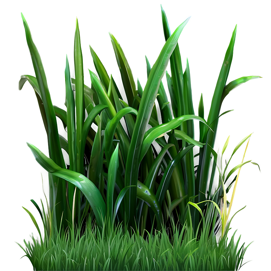 Short Green Grass Png Yrm PNG Image