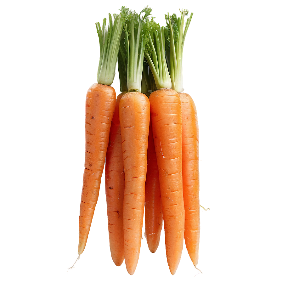 Shredded Carrot Png Bxx11 PNG Image