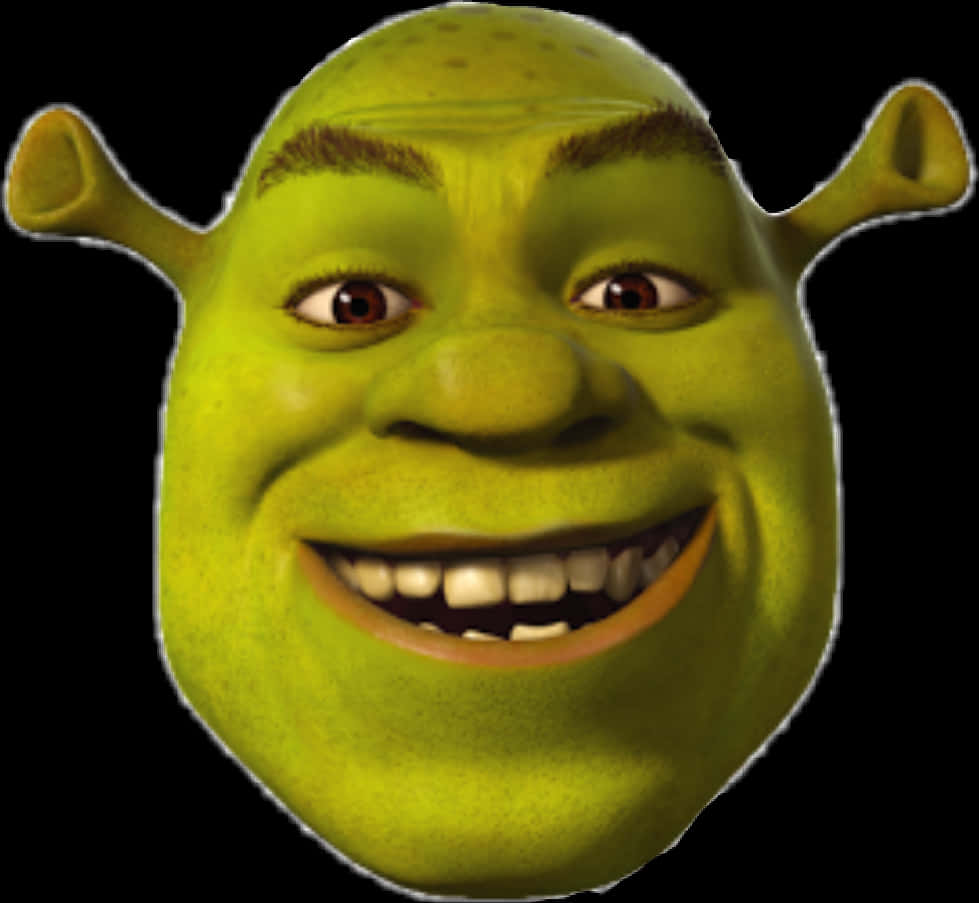 Shrek Smiling Portrait PNG Image