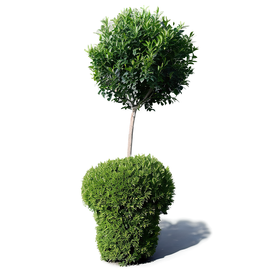 Shrub In Landscape Png Acy88 PNG Image