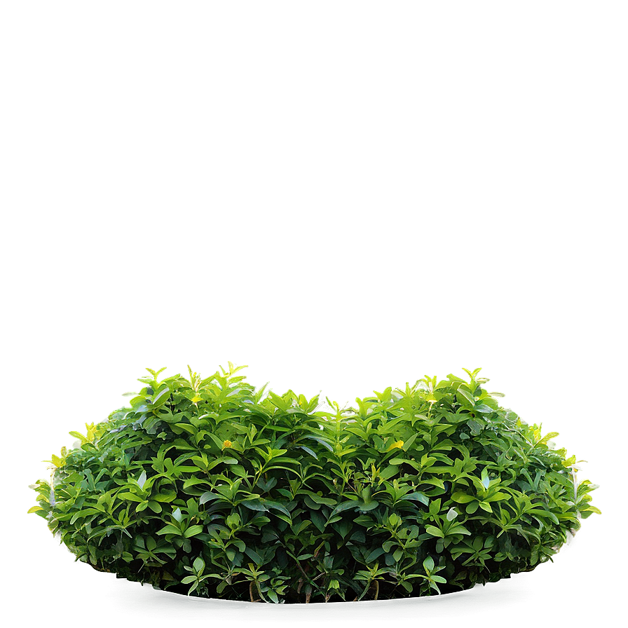 Shrub On Hill Png Cux25 PNG Image