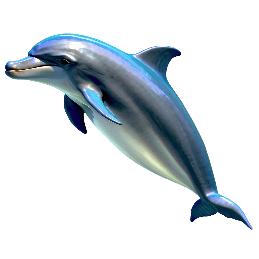 Shy Cartoon Dolphin Png Pfq48 PNG Image