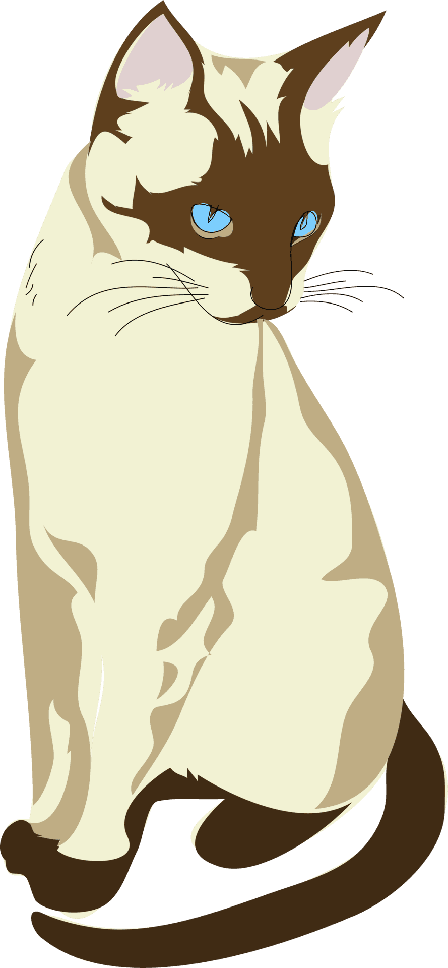 Siamese Cat Blue Eyes Illustration PNG Image