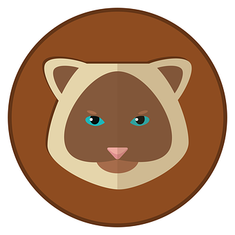 Siamese Cat Icon PNG Image