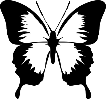 Silhouette Butterfly Outline PNG Image