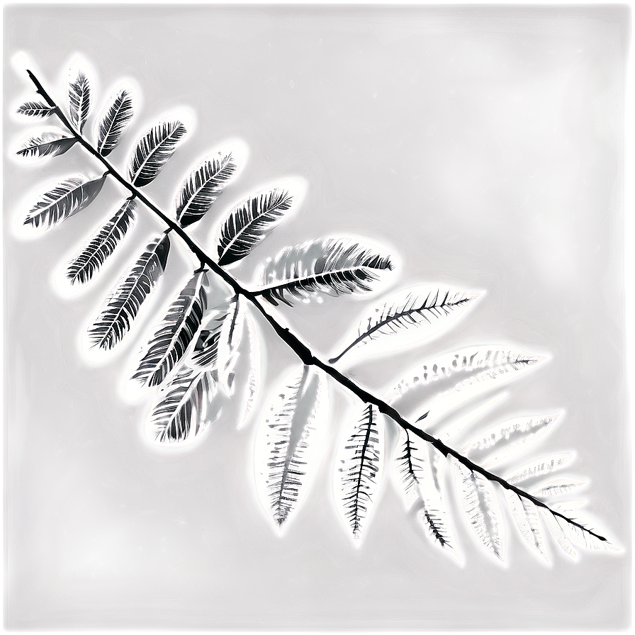 Silhouette Leaves Png 79 PNG Image