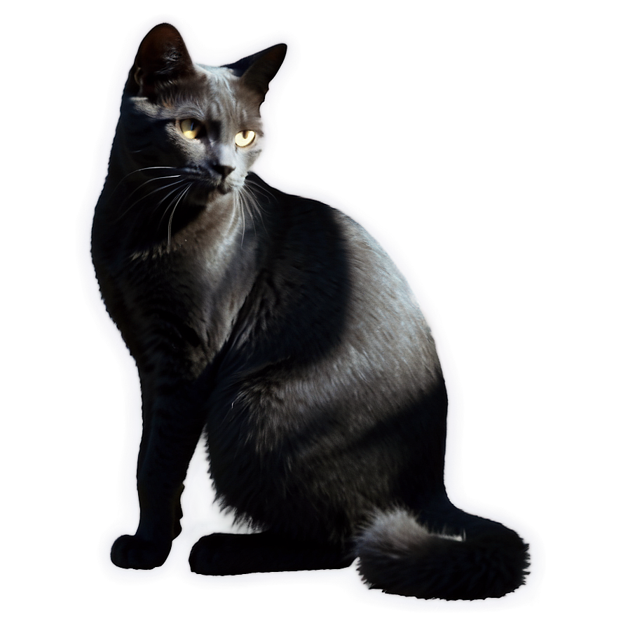 Silhouette Of Grey Cat Png 06252024 PNG Image