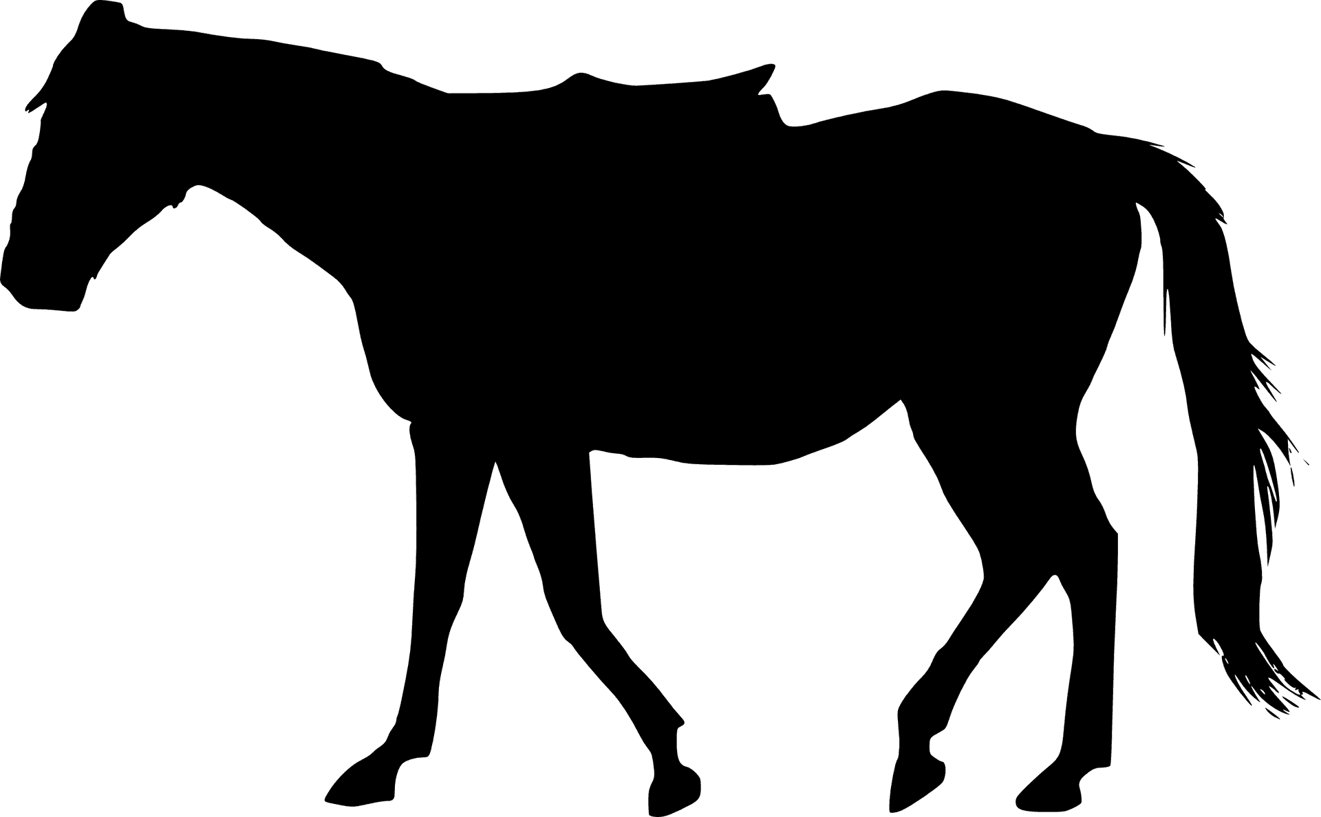 Silhouette_of_ Walking_ Horse PNG Image