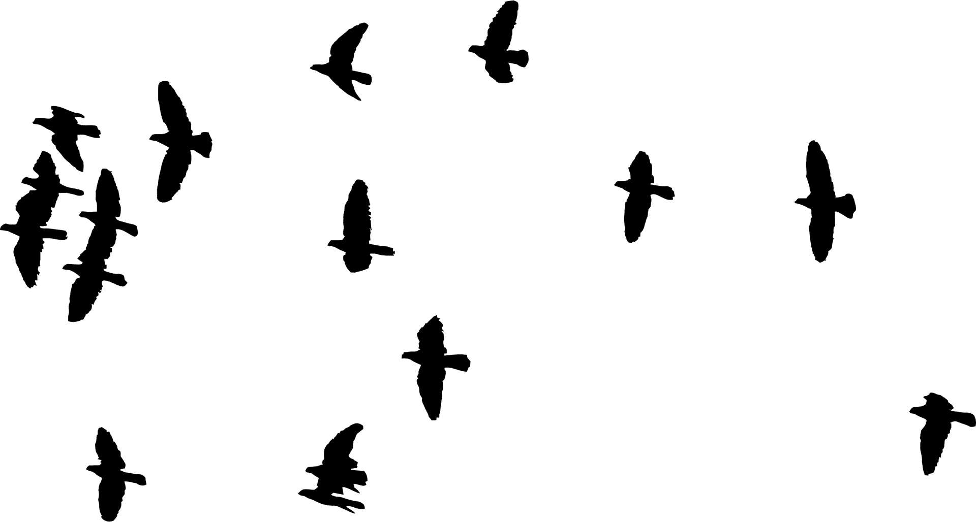 Silhouetted Birdsin Flight Sky Background PNG Image