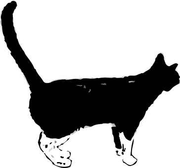 Silhouetted Cat Profile PNG Image