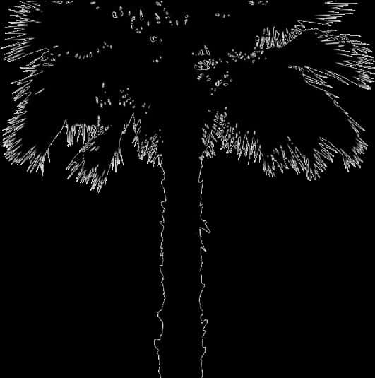 Silhouetted Coconut Tree Art PNG Image