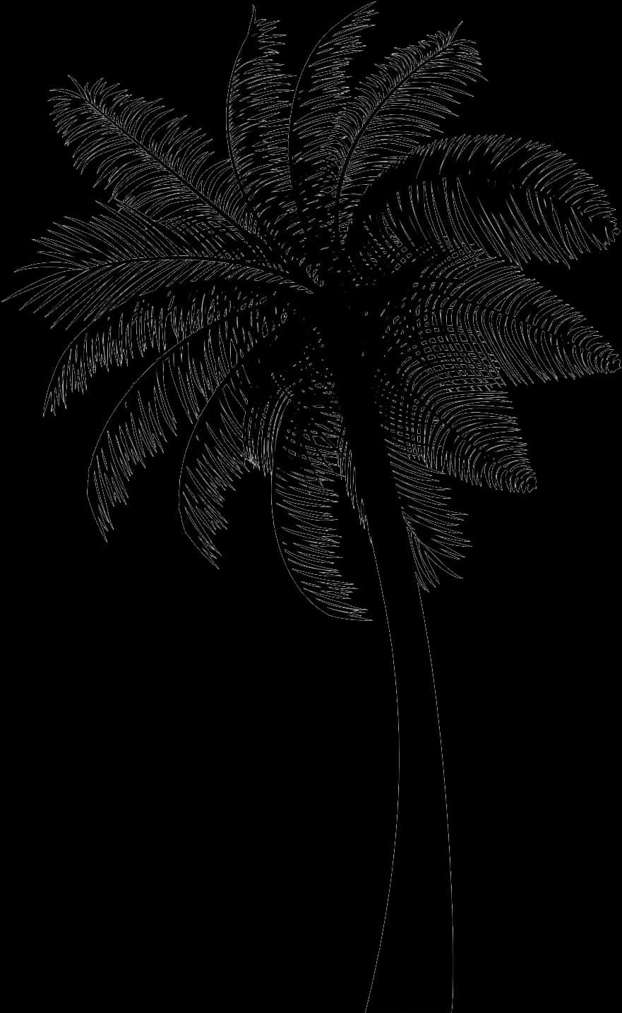 Silhouetted Coconut Tree Art PNG Image