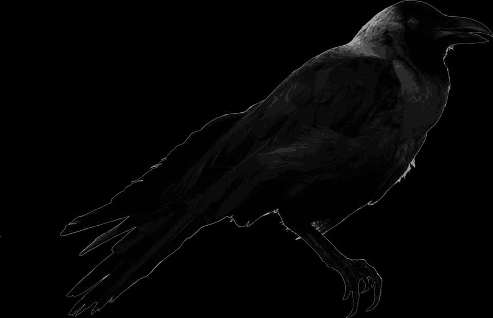 Silhouetted Crow Profile PNG Image