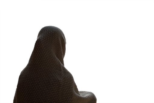 Silhouetted Figurein Mesh Covering PNG Image