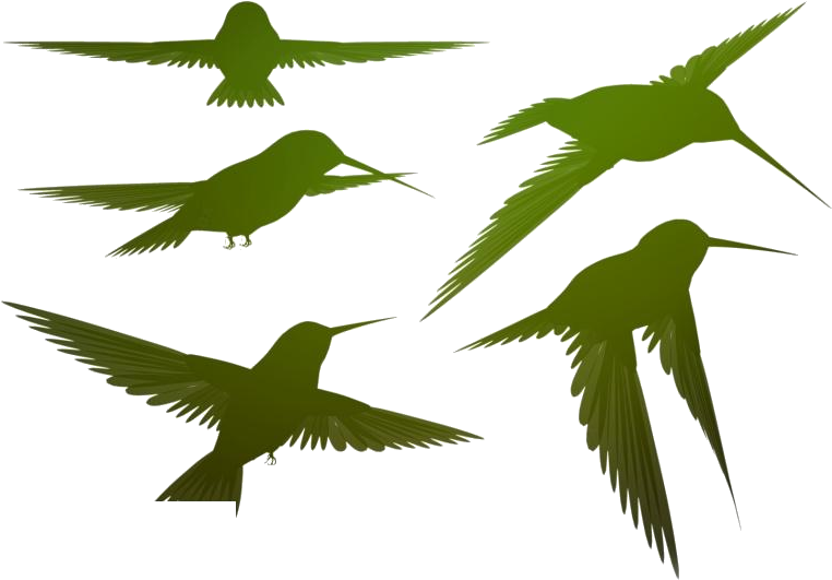 Silhouetted Flying Birds Vector PNG Image