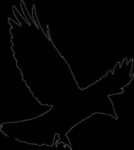 Silhouetted Flying Crow PNG Image