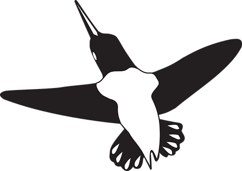 Silhouetted Hummingbird Graphic PNG Image