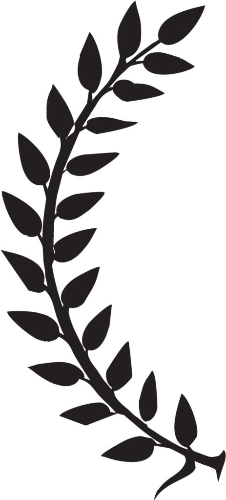 Silhouetted Leafy Branch Graphic PNG Image