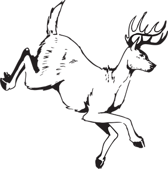 Silhouetted Leaping Deer PNG Image