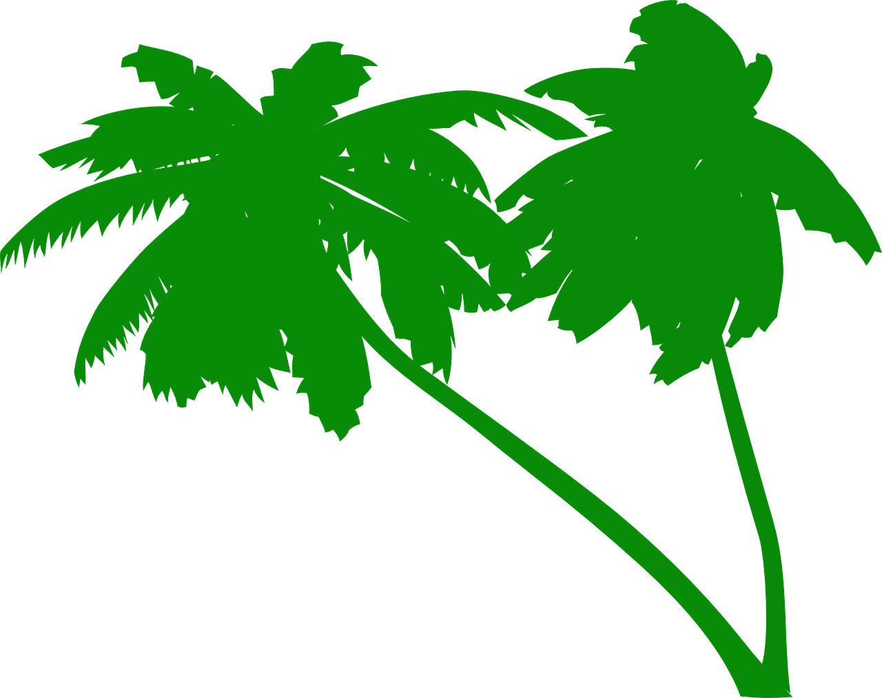 Silhouetted Palm Trees PNG Image