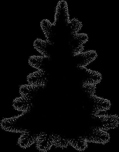 Silhouetted Pine Tree Black Background PNG Image