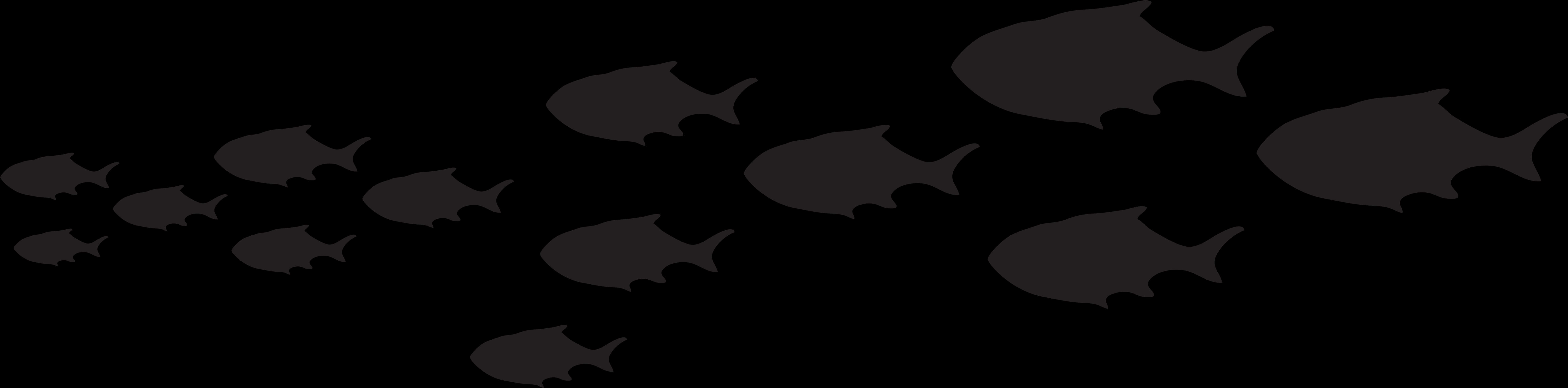 Silhouetted Schoolof Fish Dark Background PNG Image