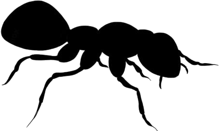 Silhouetteof Ant PNG Image