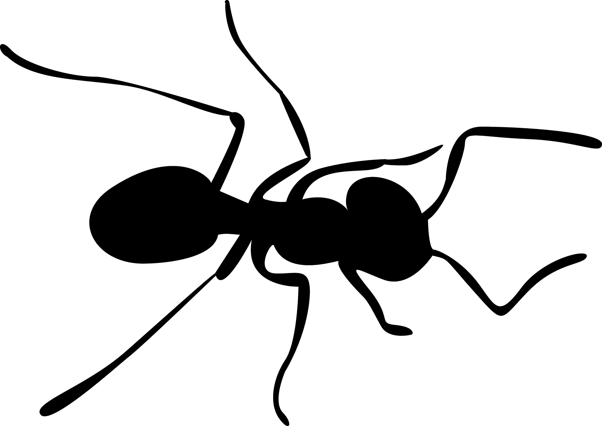 Silhouetteof Ant PNG Image