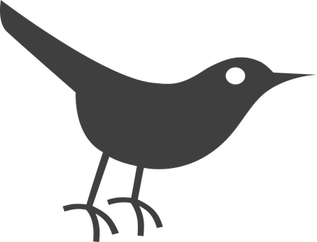 Silhouetteof Birdon Black Background PNG Image