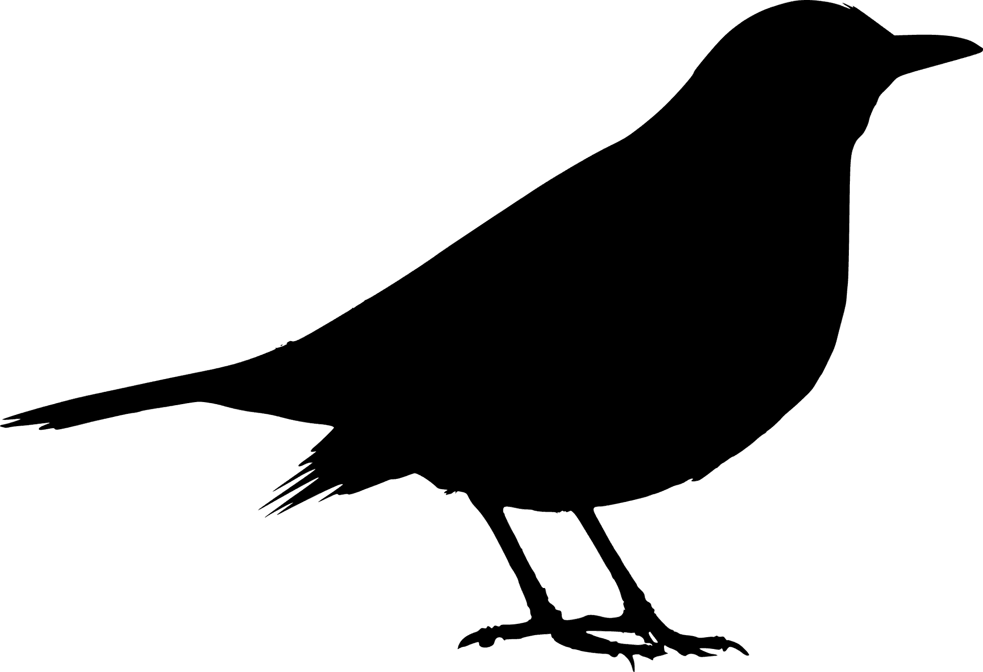 Silhouetteof Blackbirdon Blue Background PNG Image