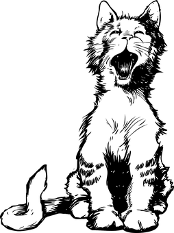 Silhouetteof Catin Darkness.jpg PNG Image