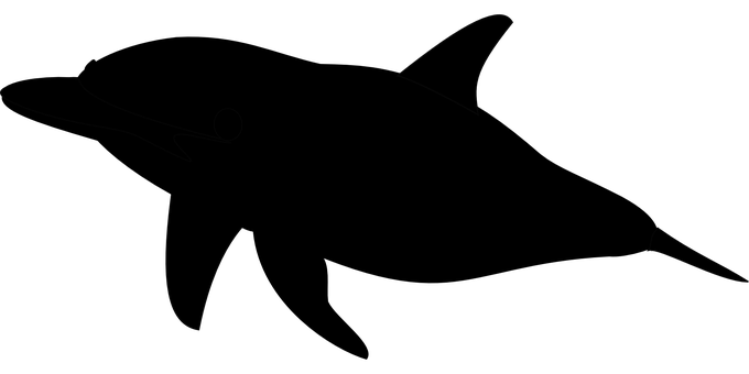 Silhouetteof Dolphinin Darkness PNG Image