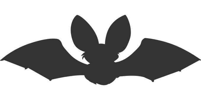 Silhouetteof Flying Bat PNG Image