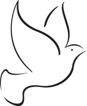 Silhouetteof Flying Bird PNG Image