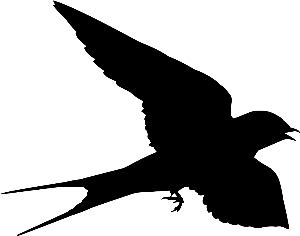 Silhouetteof Flying Black Bird PNG Image