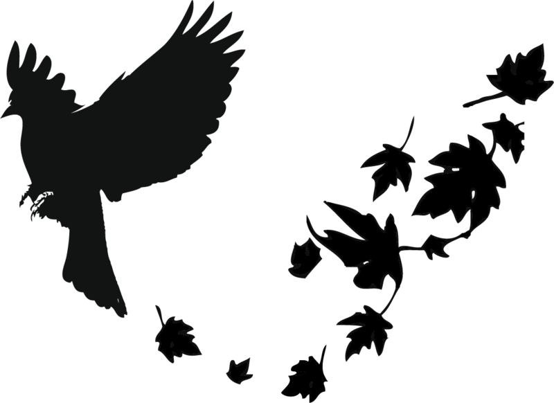 Silhouetteof Flying Black Birdand Leaves PNG Image