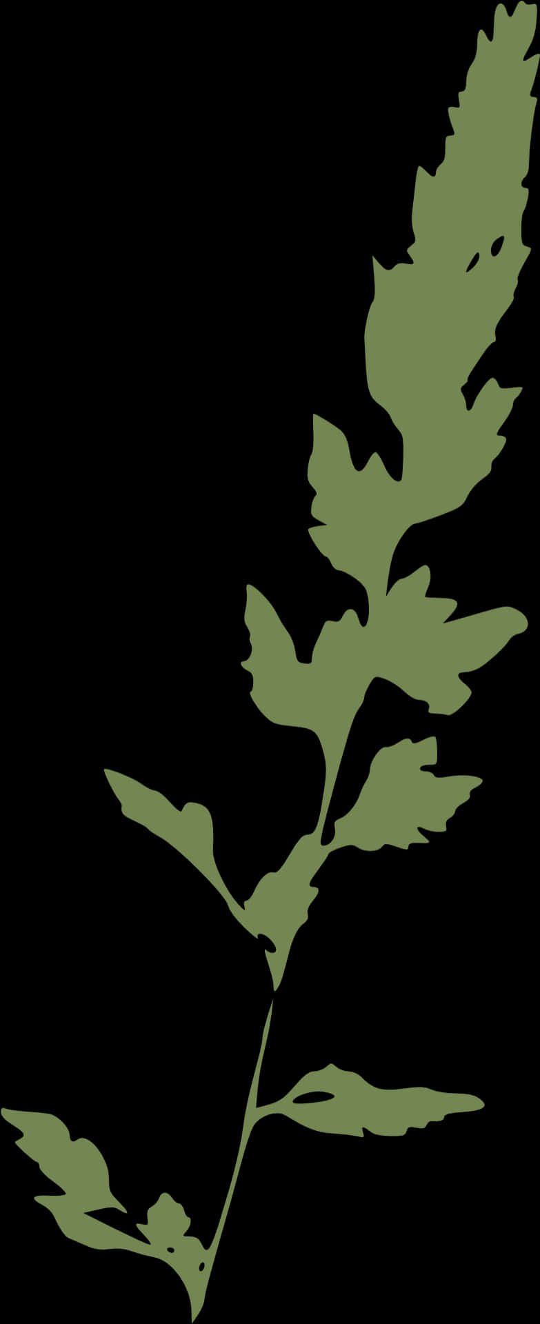 Silhouetteof Grass Blade PNG Image