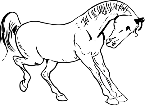 Silhouetteof Grazing Horse PNG Image