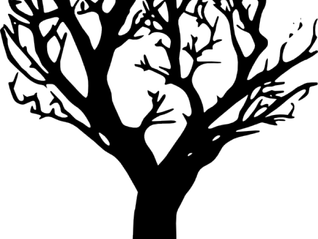 Silhouetteof Leafless Tree.png PNG Image